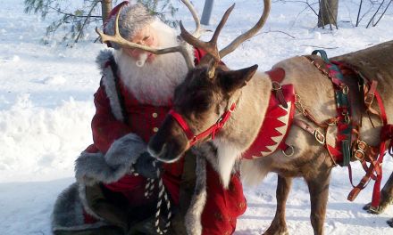 Christmas in Collingwood