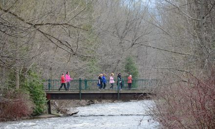 Hike for Hospice