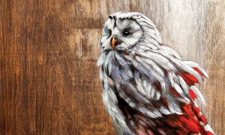 Deborah Masters: Ethereal, Tactile, Rich