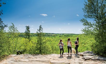 Nottawasaga Bluffs Bruce Trail