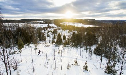 Nordic Adventures