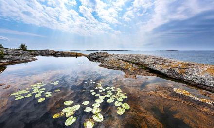 Georgian Bay Land Trust – 30 Years Protecting Nature
