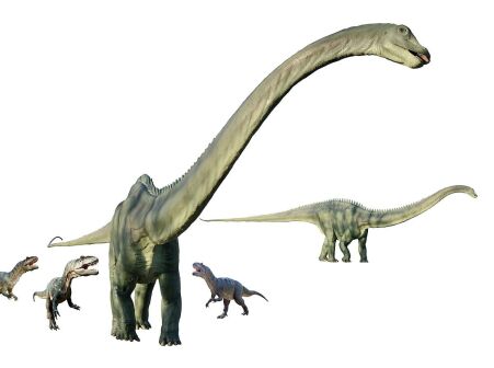 Allosaurus_vs_Diplodocus