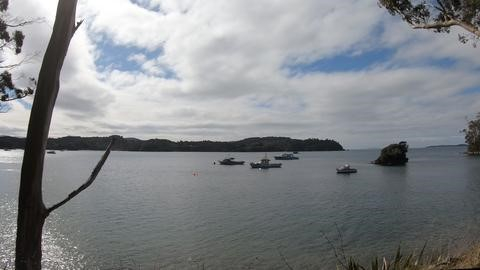 Stewar Island boats