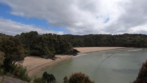 Stewart Island beach