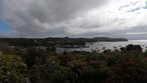 Stewart Island harbour