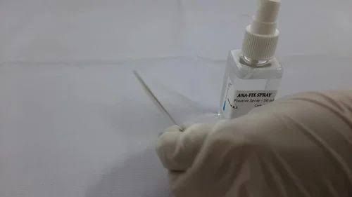 TO DEMONSTRATE DIFFERENT TYPES OF LEUCOCYTES IN HUMAN BLOOD BY LEISHMAN STAINING TO DEMONSTRATE DIFFERENT TYPES OF LEUCOCYTES IN HUMAN BLOOD BY LEISHMAN STAINING