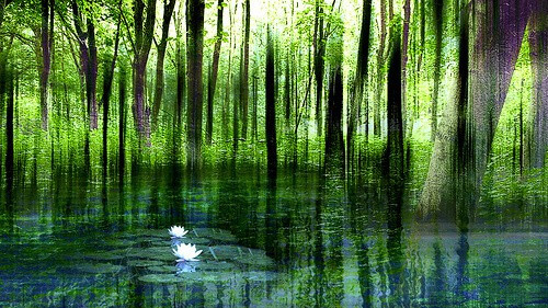 mindfulness experiment