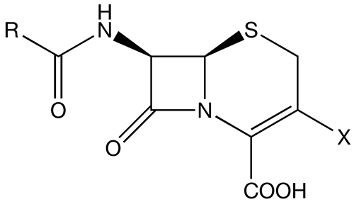 MECHANISM OF ACTION OF CEPHALOSPORINS AND VANCOMYCIN MECHANISM OF ACTION OF CEPHALOSPORINS AND VANCOMYCIN