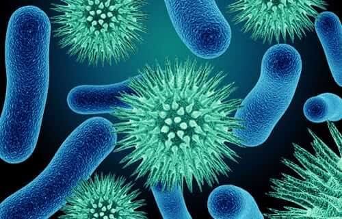 PATHOGENESIS OF MICROORGANISMS PATHOGENESIS OF MICROORGANISMS