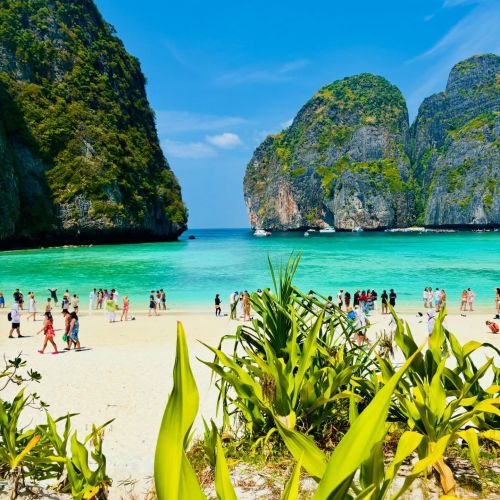 Phi Phi Island Maya Bay