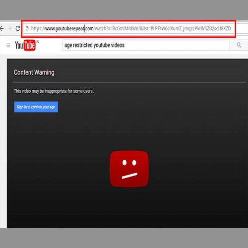 Youtube com restricted access blocked 2