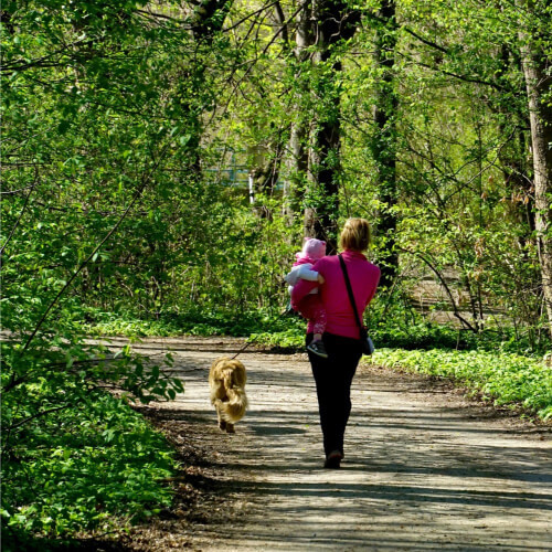 non exercise activity thermogenesis