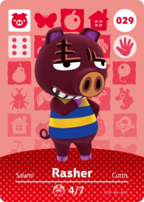 Rasher