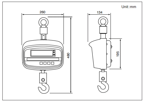 CAS Scale CAS NC-1 Series NC1-500 Crane Scale