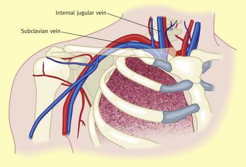 THE GENESIS AND CLINICAL SIGNIFICANCE OF ARTERIAL AND JUGULAR VENOUS PULSES