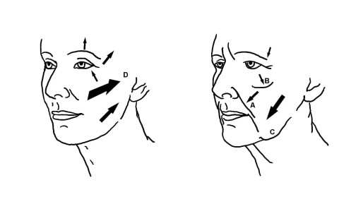 Ageing of the human face (image credit: GBdeZeeuw)