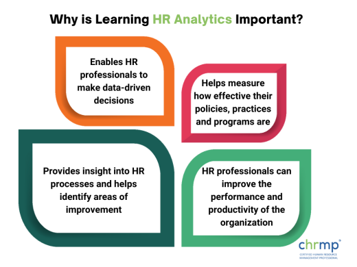 Why is Learning HR Analytics Important?