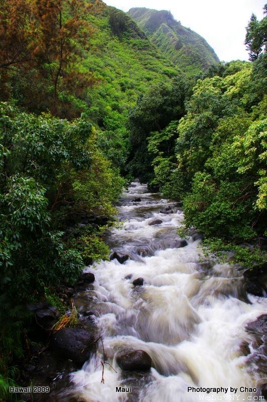 Lahaina 5
