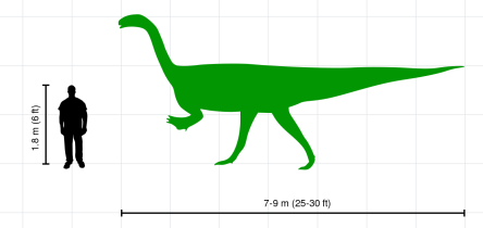 Plateosaurus Size