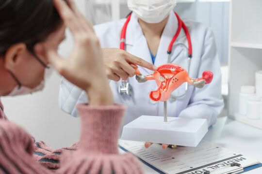 REPRODUCTIVE SYSTEM DRUGS