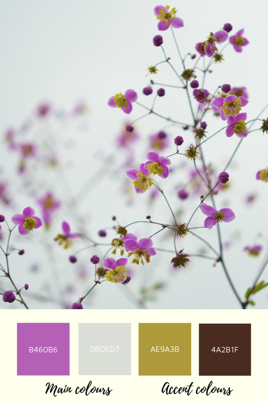 Lilac-palette Collour palette with lilac colour