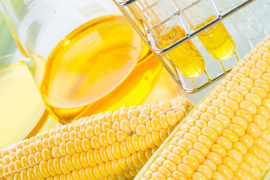 high fructose corn syrup
