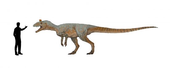 Cryolophosaurus size comparison
