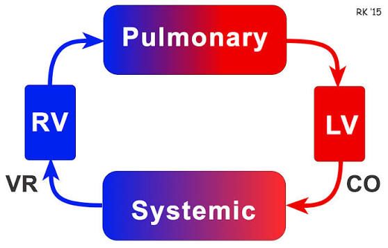 UNDERSTANDING THE ENGINE OF CIRCULATION: CENTRAL VENOUS PRESSURE AND VENOUS RETURN