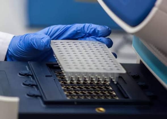 GENOTYPING TECHNIQUES GENOTYPING TECHNIQUES