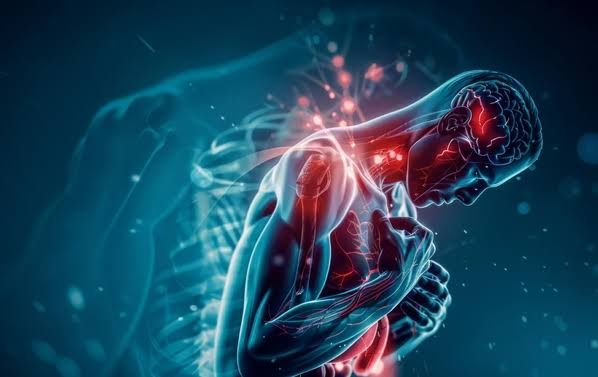 BIOENERGETICS AND THERMODYNAMICS: HOW ENERGY MOVES IN CELLS