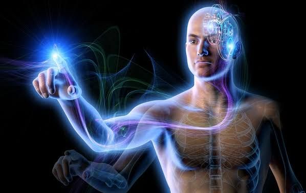 THE PROCESS OF ENERGY FLOW WITHIN THE CELL