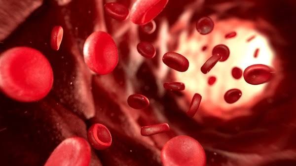 THE PROCESS OF BLOOD COAGULATION EXPLAINED