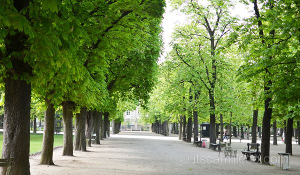 Jardin Du Luxembourg (2)