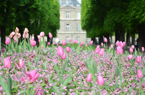 Jardin Du Luxembourg (18)