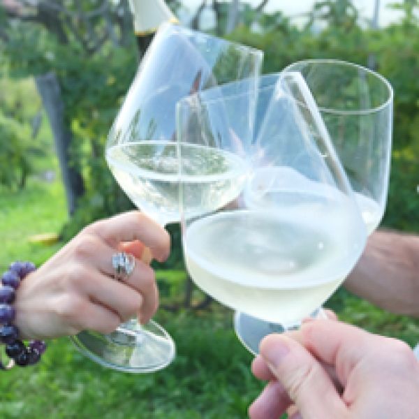 Sparkling Wine