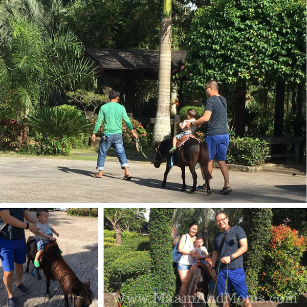 pony ride at cintai corito