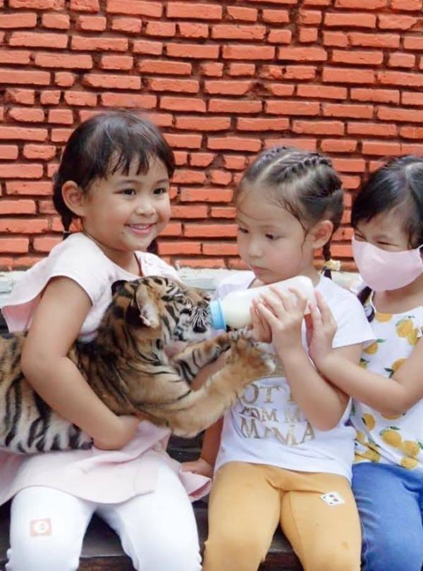 bangkok safari world