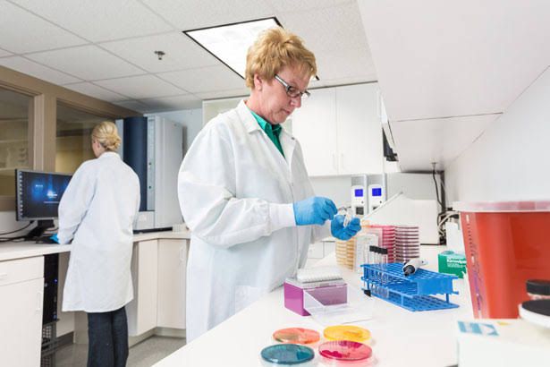 TRANSFORMATION OF ESCHERICHIA COLI WITH AMPICILLIN RESISTANT PLASMID TRANSFORMATION OF ESCHERICHIA COLI WITH AMPICILLIN RESISTANT PLASMID
