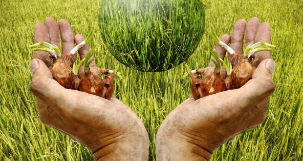 CLIMATE CHANGE AND CLIMATE SMART AGRICULTURE CLIMATE CHANGE AND CLIMATE SMART AGRICULTURE