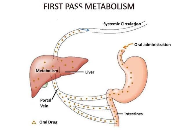 FROM FIRST PASS EFFECT TO TOXICITY: A DEEP DIVE INTO HEPATIC DRUG METABOLISM