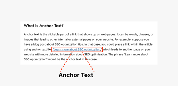What is Anchor Text | 2Stallions