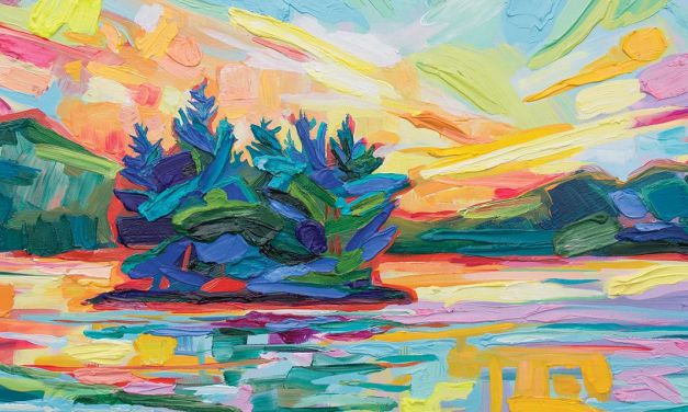 Dynamic Ecosystems of Colour