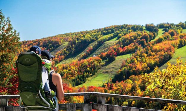 Devil’s Glen Provincial Park – Devil’s Playground