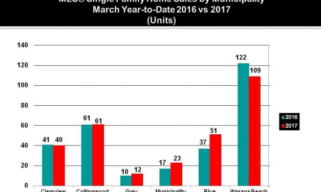 Market Watch Spring 2017