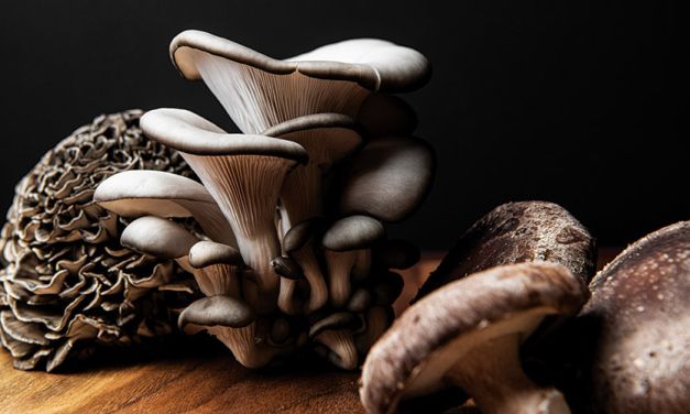 Magic, Mysterious, Mushrooms