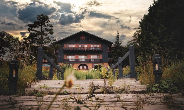 The Re-Wilding: Talisman Resort