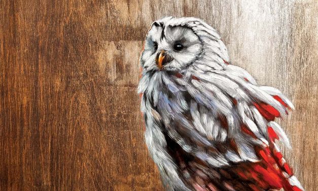 Deborah Masters: Ethereal, Tactile, Rich