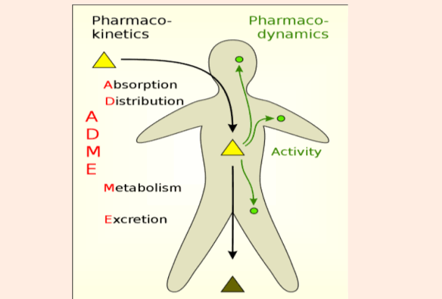 DRUG RECEPTOR INTERACTIONS AND PHARMACODYNAMICS DRUG RECEPTOR INTERACTIONS AND PHARMACODYNAMICS