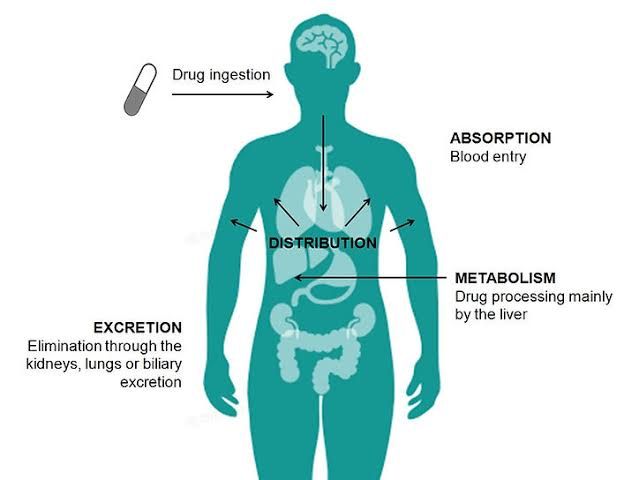 DRUG DISTRIBUTION: FROM INTAKE TO ACTION DRUG DISTRIBUTION: FROM INTAKE TO ACTION
